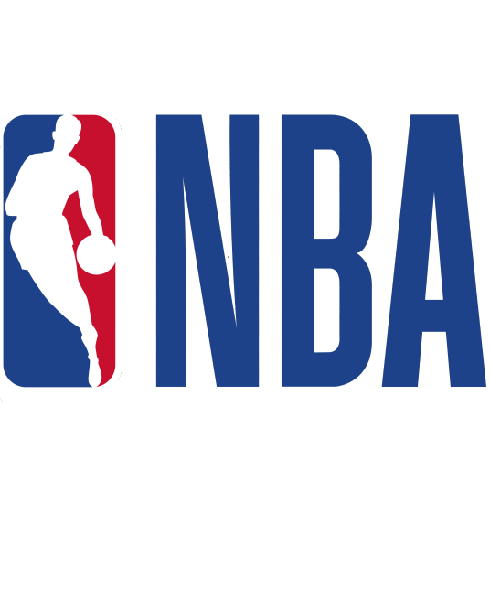 NBA尼克斯vs森林狼20231121
